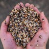 Nash Bait Small Seed Mix